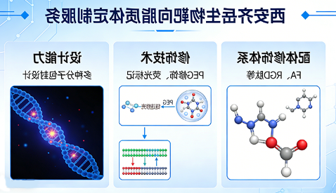 靶向脂质体定制