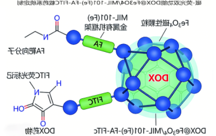 磁-荧光双功能DOX@Fe₃O₄/MIL-101(Fe)-FA-FITC载药系统定制 磁-荧光双功能DOX@Fe₃O₄/MIL-101(Fe)-FA-FITC载药系统定制