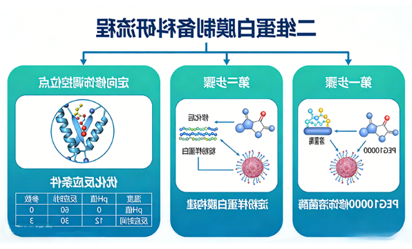 高校科研项目（二维蛋白膜制备）