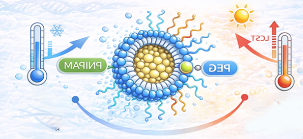 温敏性PEG-PNIPAM嵌段共聚物定制
