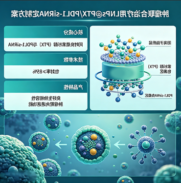 肿瘤联合*用LNPs@PTX/PDL1-siRNA定制