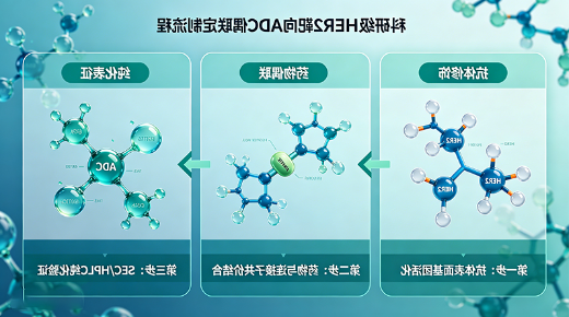 科研级HER2靶向ADC偶联定制