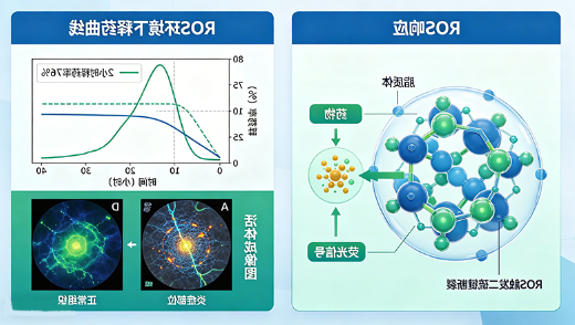 ROS响应型炎症靶向脂质体定制（药企研发）