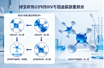 长效重组凝血因子VIII的PEG修饰定制 长效重组凝血因子VIII的PEG修饰定制