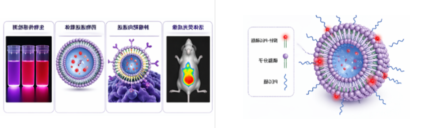 近红外探针PEG磷脂化偶联改性定制服务 近红外探针PEG磷脂化偶联改性定制服务