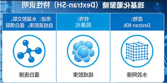 巯基化多糖