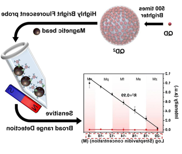 QDs-Dopamine
