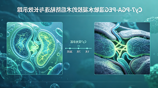 Cy7-PGA-PEG 温敏水凝胶的术后防粘连与长效示踪(Acta Biomaterialia, 2022) Cy7-PGA-PEG 温敏水凝胶的术后防粘连与长效示踪(Acta Biomaterialia, 2022)