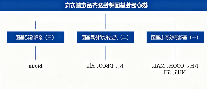 核心活性基团特性及齐岳定制方向