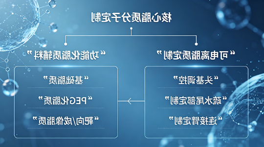 核心脂质分子定制