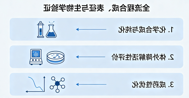 全流程合成、表征与生物学验证