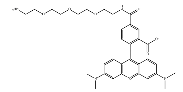 5-TAMRA-PEG3-amine 5-TAMRA-PEG3-amine