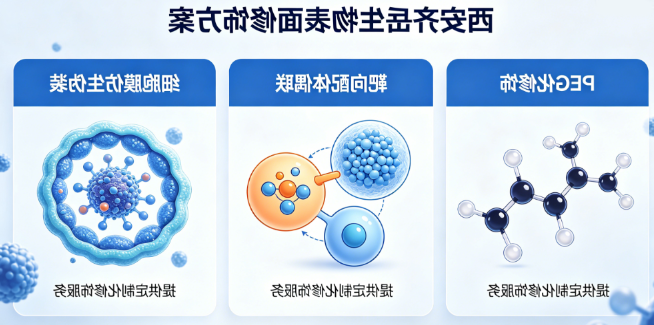 西安齐岳生物提供多种表面修饰方案：
