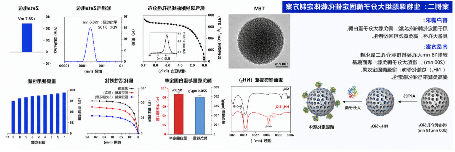 生物课题组大分子酶固定催化载体定制方案