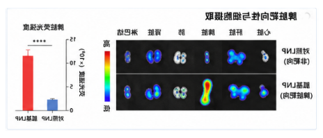 胍基可电离脂质LNP:脾脏靶向与肿瘤免疫治疗 胍基可电离脂质LNP:脾脏靶向与肿瘤免疫治疗