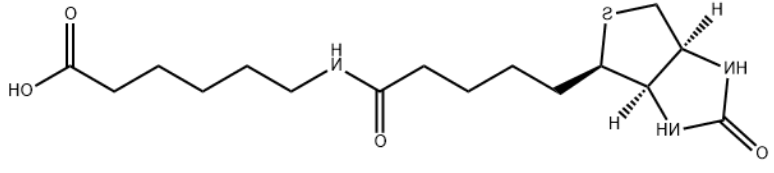 N-生物素基-6-氨基己酸 