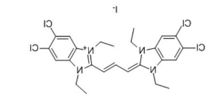JC-1 JC-1
