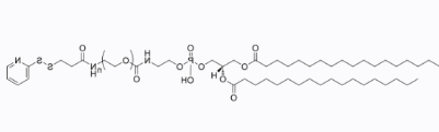 DSPE-PEG1000-SPDP