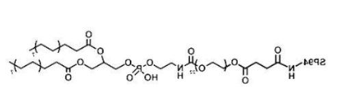 DSPE-PEG-SP94