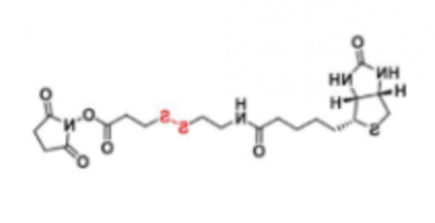 Biotin-SS-NHS