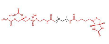 Biotin-PEG-DSPE