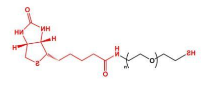 SH-PEG-Biotin