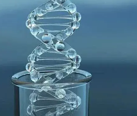 ICG-Hyaluronate;ICG-HA;吲哚菁绿标记透明质酸钠的应用以及相关产品