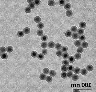 PEG-COOH包裹上转换纳米颗粒 UCNPS-PEG-COOH的应用