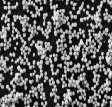 羧基化金纳米粒 50nm左右 COOH-Gold Nanoparticle/Au nanoparticles 尺寸可定制