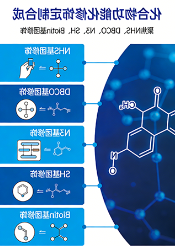 化合物功能化修饰定制合成 | 聚焦NHS、DBCO、N3、SH、Biotin基团修饰