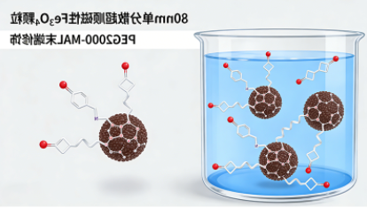 PEG修饰磁性纳米颗粒（Fe₃O₄）定制