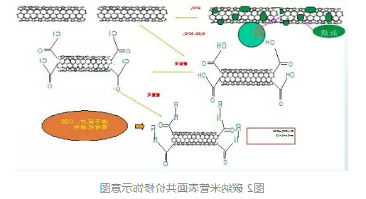 提供碳纳米管的功能化修饰（功能性基团、蛋白、多肽、多糖）定制技术