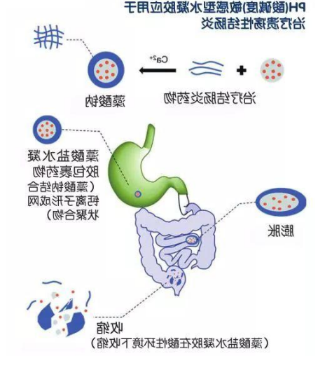 帮助你具体了解水凝胶