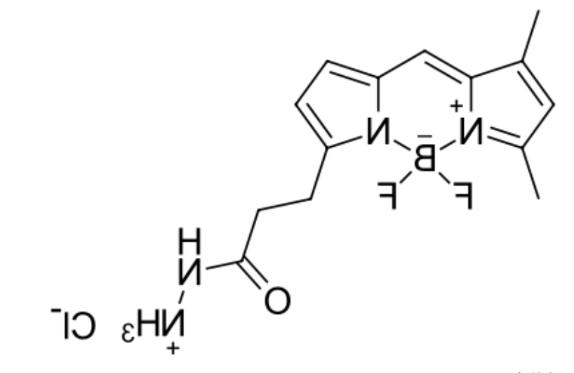BDP R6G hydrazide|一种硼二吡咯亚甲基染料|bodipy荧光染料激发波长