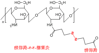 糖类二硫键偶联物定制产品（透明质酸/葡聚糖/壳聚糖-S-S-偶联物）