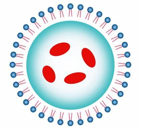 CPP-Doxorubicin：多柔比星修饰细胞穿膜肽定制合成技术-西安齐岳生物
