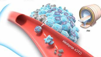 5-氟尿嘧啶-半乳糖复合物(5-FU-Galactose)5-FU-Galactose conjugate or nanoparticle的解析