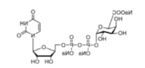 UDP-GalA; CAS:148407-07-2; 尿苷5′-二磷酸三钠盐二钠盐；齐岳生物UDP糖试剂推荐