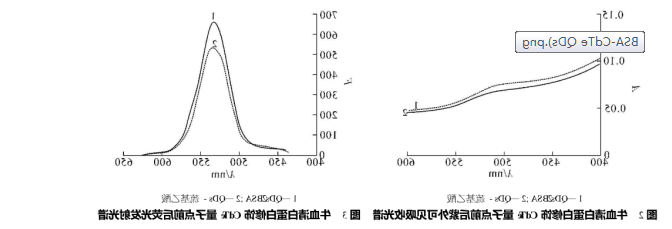 牛血清白蛋白修饰水溶性碲化镉量子点(BSA-CdTe QDs)作为荧光探针用于生物大分子的检测|齐岳生物供应