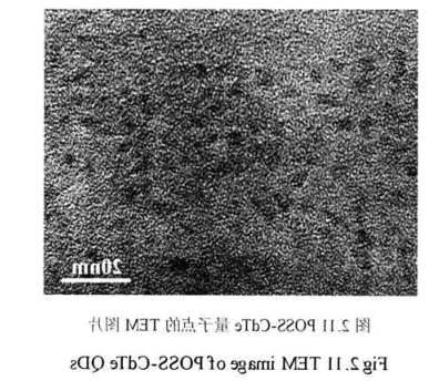 OM-POSS修饰的高生物相容性碲化镉荧光量子点(POSS-CdTe QDs)具有良好的光稳定性齐岳生物供应