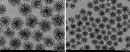 树枝状介孔二氧化硅 Dendritic Mesoporous Silica Microspheres