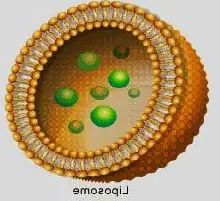 新型光敏感共输送脂质体的制备方法及其合成研究  （齐岳生物分享）
