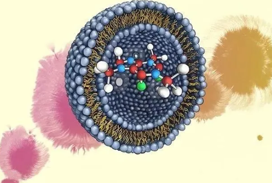 L-Arg(/ICG@Apt-Lip功能化的脂质体-齐岳定制    （齐岳生物分享）
