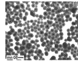 CS@Fe3O4 nanoparticles(150nm) 壳聚糖修饰四氧化三铁纳米颗粒(1500nm)