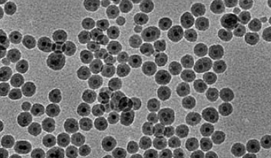 PAA @Fe3O4 nanoparticles(30nm) 聚丙烯酸修饰四氧化三铁纳米颗粒(30nm)