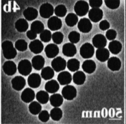 Dextran modified Fe3O4 nanoparticles(200nm) 葡聚糖修饰四氧化三铁纳米颗粒200nm