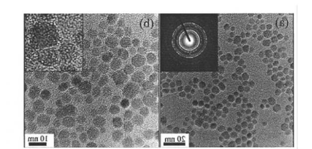 CS@Fe3O4 nanoparticles(30nm) 壳聚糖修饰四氧化三铁纳米颗粒(30nm)