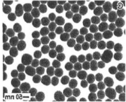 CS@Fe3O4 nanoparticles(200nm) 壳聚糖修饰四氧化三铁纳米颗粒(200nm)