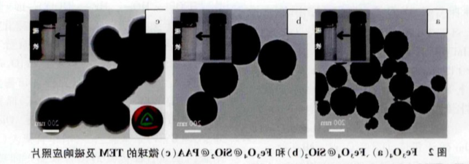 PVP@Fe3O4 nanoparticles(30nm),粒径可定制