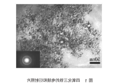 Dextran modified Fe3O4 nanoparticles(30nm) 葡聚糖修饰四氧化三铁纳米颗粒30nm